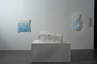 Stručna vodstva i razgovori s umjetnicima 